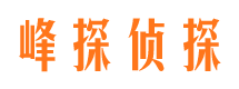 措勤侦探